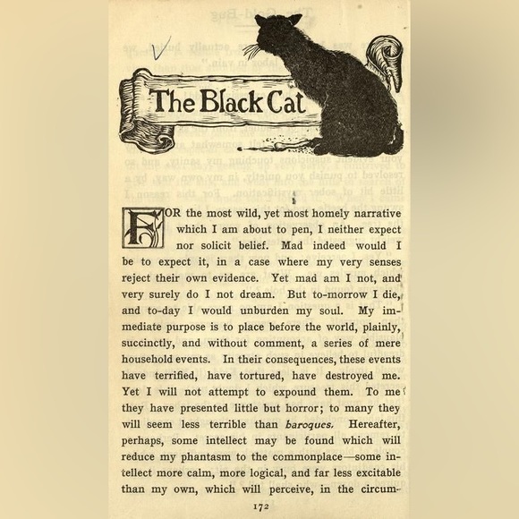 - $3 BLACK CAT STUD EARRINGS. STAINLESS STEEL. NEW. $3 if bundled - Picture 13 of 16